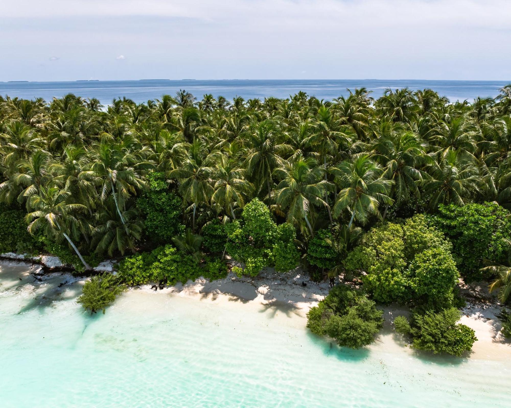 Isla Retreat Hotel Fehendhoo Eksteriør billede