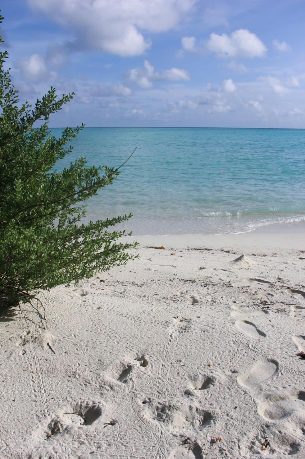 Isla Retreat Hotel Fehendhoo Eksteriør billede